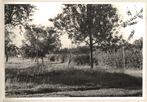 Unbenannt-15
