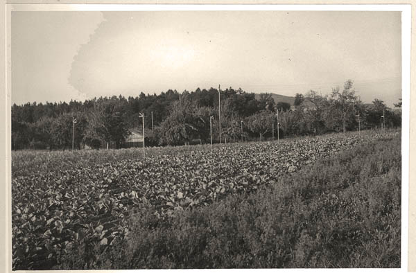 Unbenannt-16