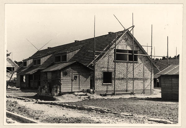 Unbenannt-19